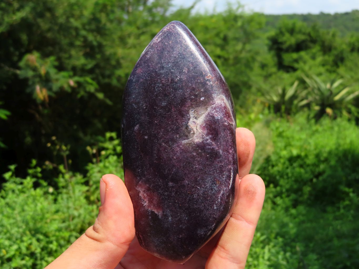 Polished Gem Lithium Mica Lepidolite Display Free Forms x 3 From Zimbabwe - TopRock