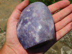 Polished Gem Lithium Mica Lepidolite Display Free Forms x 3 From Zimbabwe - TopRock