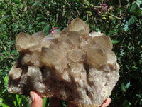Natural Smokey Phantom Quartz Cluster x 1 From Lwena, Congo - TopRock