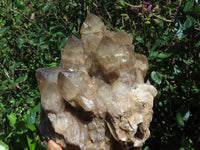 Natural Smokey Phantom Quartz Cluster x 1 From Lwena, Congo - TopRock