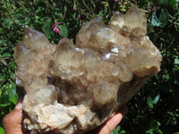 Natural Smokey Phantom Quartz Cluster x 1 From Lwena, Congo - TopRock