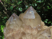 Natural Smokey Phantom Quartz Cluster x 1 From Lwena, Congo - TopRock
