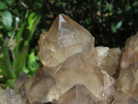 Natural Smokey Phantom Quartz Cluster x 1 From Lwena, Congo - TopRock