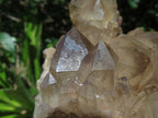 Natural Smokey Phantom Quartz Cluster x 1 From Lwena, Congo - TopRock