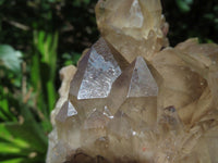Natural Smokey Phantom Quartz Cluster x 1 From Lwena, Congo - TopRock