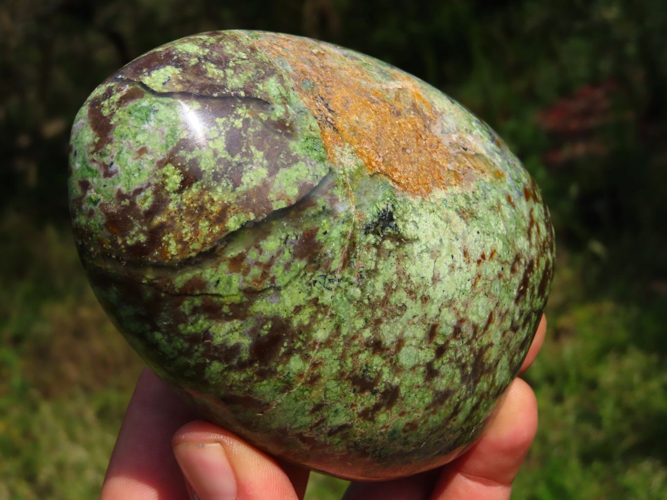 Polished Chrysoprase Standing Free Forms x 3 From Madagascar - TopRock