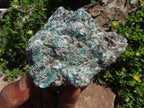 Natural Emeralds In Matrix x 6 From Sandawana, Zimbabwe - TopRock