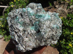 Natural Emeralds In Matrix x 6 From Sandawana, Zimbabwe - TopRock