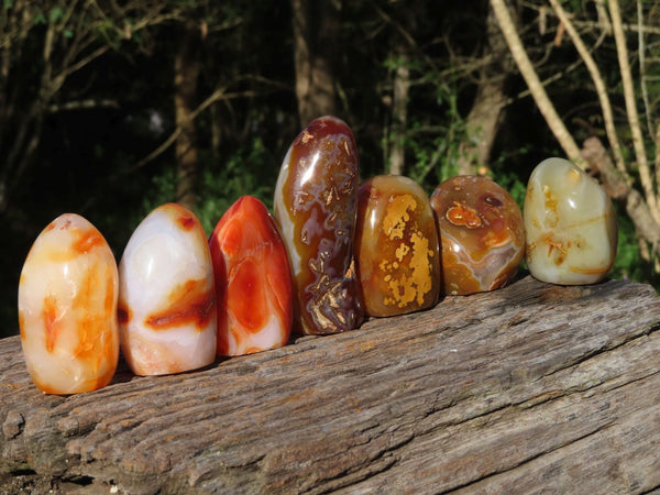 Polished Carnelian Standing Free Forms x 7 From Madagascar - TopRock