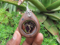 Polished Unique & Rare Zebra Wood Fine Grain & Purpurite Pendant With Tree Of Life Design - sold per piece From South Africa - TopRock