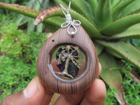 Polished Unique & Rare Zebra Wood Fine Grain & Purpurite Pendant With Tree Of Life Design - sold per piece From South Africa - TopRock