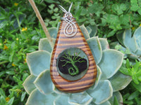 Polished Zebra Wood Pendant With Purpurite Centre & Tree Of Life - sold per piece From South Africa - TopRock