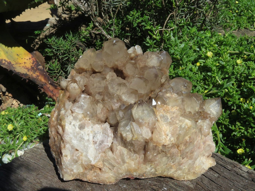 Natural Smokey Phantom Cluster x 1 From Lwena, Congo - TopRock