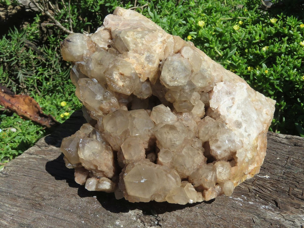 Natural Smokey Phantom Cluster x 1 From Lwena, Congo - TopRock