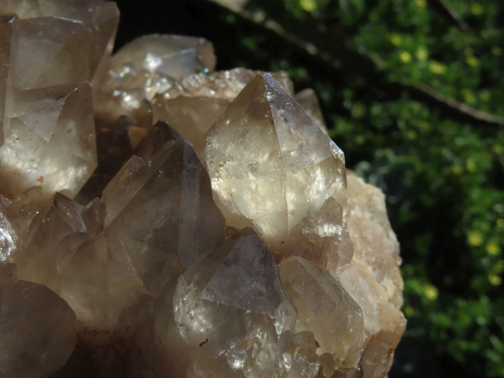 Natural Smokey Phantom Cluster x 1 From Lwena, Congo - TopRock