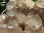 Natural Smokey Phantom Cluster x 1 From Lwena, Congo - TopRock
