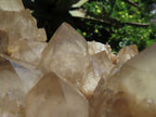 Natural Smokey Phantom Cluster x 1 From Lwena, Congo - TopRock