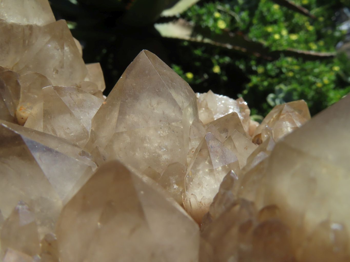 Natural Smokey Phantom Cluster x 1 From Lwena, Congo - TopRock