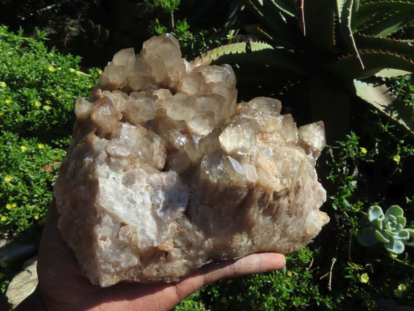 Natural Smokey Phantom Cluster x 1 From Lwena, Congo - TopRock