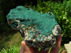 Natural Malachite Specimens x 2 From Tenke Fungurume, Congo - TopRock
