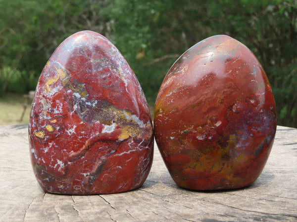 Polished Red Variety Ocean Jasper Standing Free Forms x 2 From Marovato, Madagascar - TopRock