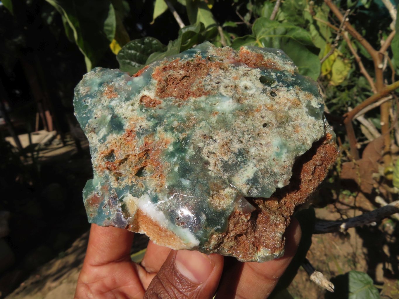 Polished One Side Mtorolite Free Forms x 5 From Mutorashanga, Zimbabwe - TopRock