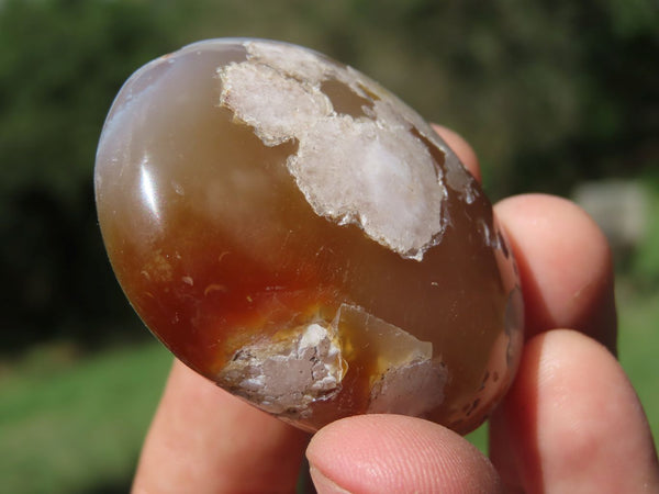 Polished Stunning 3D Coral Flower Agate Palm Stones x 24 From Antsahalova, Madagascar - TopRock