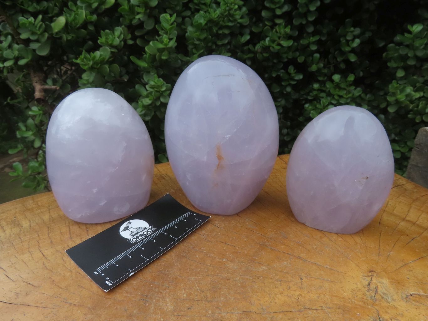 Polished Rose / Blue Rose Quartz Standing Free Forms x 3 From Madagascar - TopRock