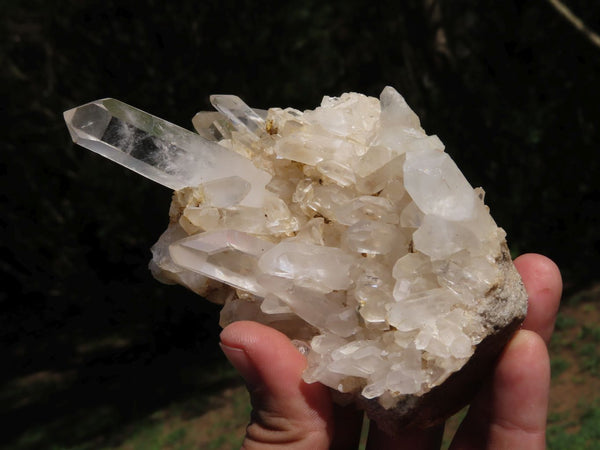 Natural Mixed Quartz Clusters With Large DT Crystals x 5 From Madagascar - TopRock