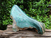 Polished  Large Polished One Side Mtorolite Slabs x 2 From Mutorashanga, Zimbabwe - TopRock