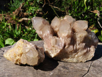 Natural Smokey Phantom Quartz Clusters x 2 From Lwena, Congo - TopRock