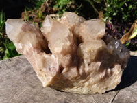 Natural Smokey Phantom Quartz Clusters x 2 From Lwena, Congo - TopRock