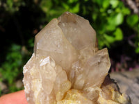 Natural Smokey Phantom Quartz Clusters x 2 From Lwena, Congo - TopRock