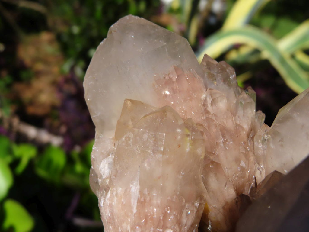 Natural Smokey Phantom Quartz Clusters x 2 From Lwena, Congo - TopRock