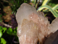Natural Smokey Phantom Quartz Clusters x 2 From Lwena, Congo - TopRock