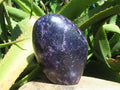 Polished Gem Lithium Mica Lepidolite Display Free Forms x 2 From Zimbabwe - TopRock