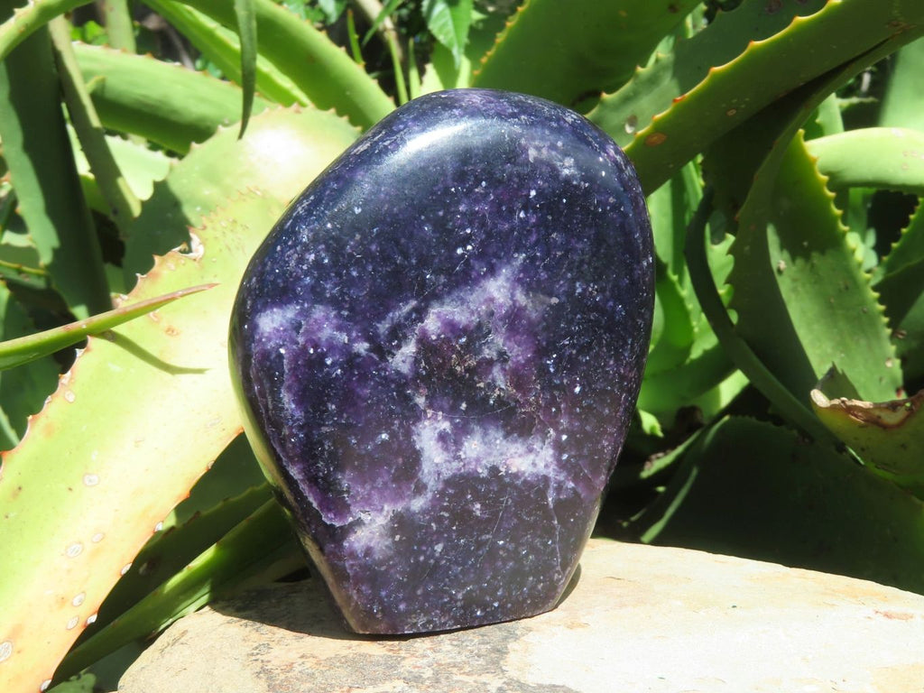 Polished Gem Lithium Mica Lepidolite Display Free Forms x 2 From Zimbabwe - TopRock