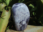 Polished Gem Lithium Mica Lepidolite Display Free Forms x 2 From Zimbabwe - TopRock