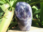 Polished Gem Lithium Mica Lepidolite Display Free Forms x 2 From Zimbabwe - TopRock