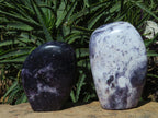 Polished Gem Lithium Mica Lepidolite Display Free Forms x 2 From Zimbabwe - TopRock