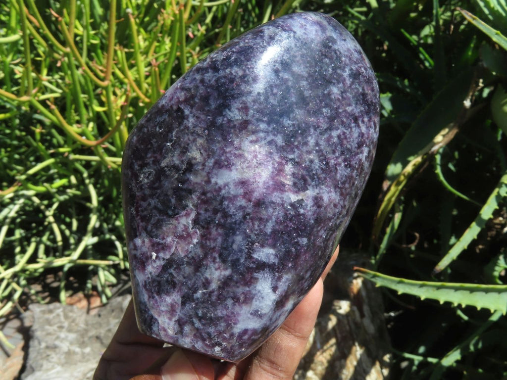 Polished Gem Lithium Mica Lepidolite Display Free Forms x 2 From Zimbabwe - TopRock