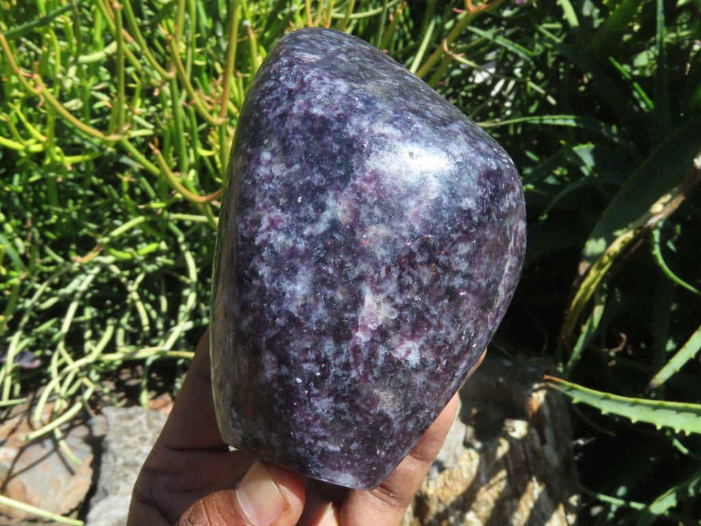 Polished Gem Lithium Mica Lepidolite Display Free Forms x 2 From Zimbabwe - TopRock