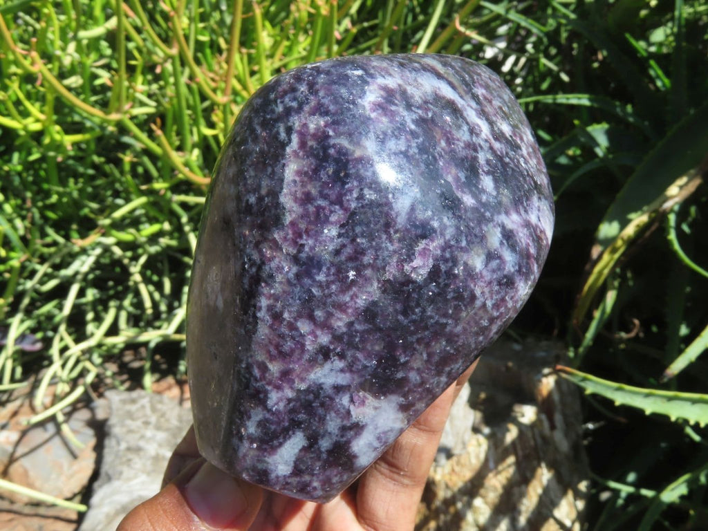 Polished Gem Lithium Mica Lepidolite Display Free Forms x 2 From Zimbabwe - TopRock