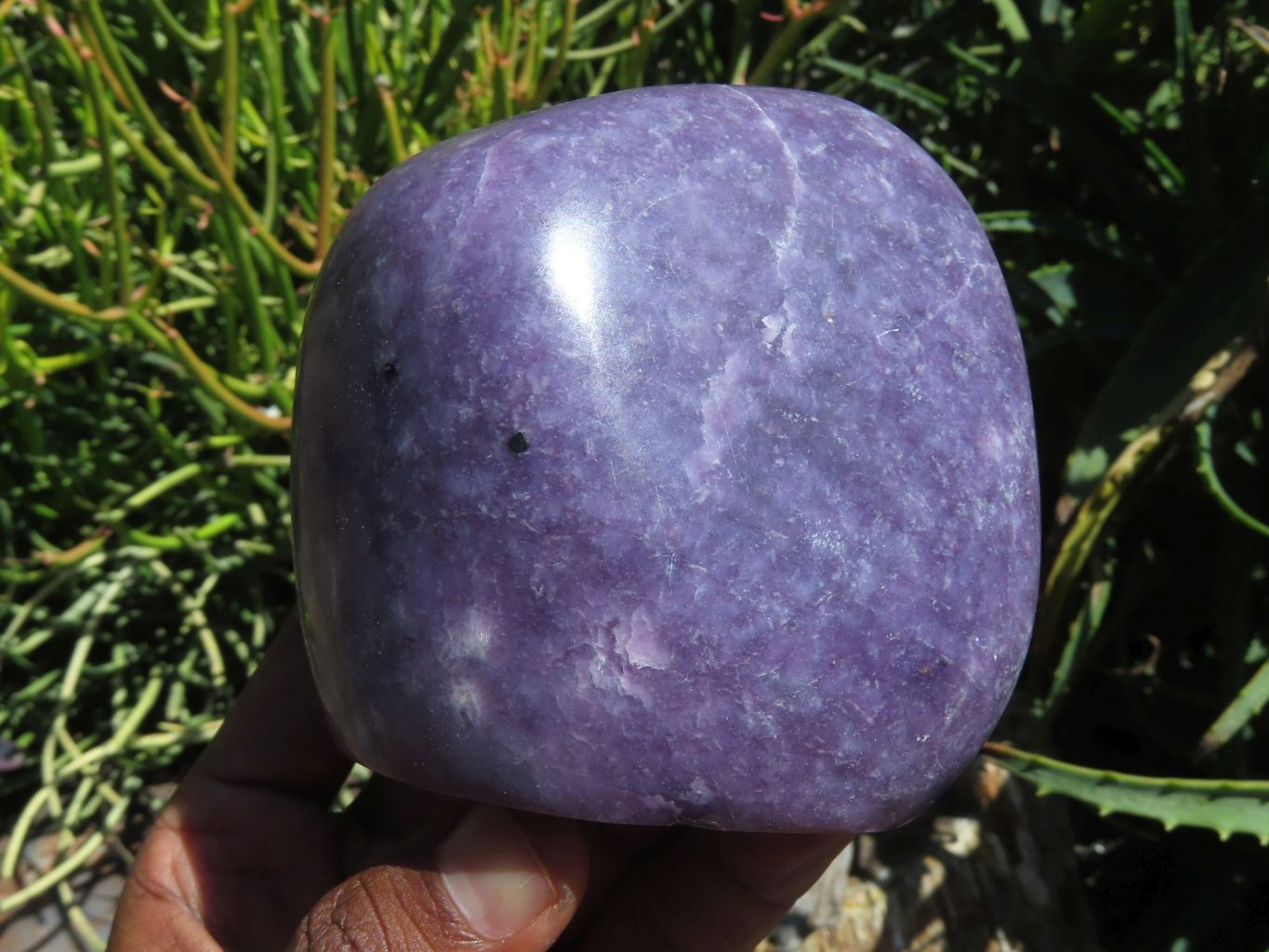 Polished Gem Lithium Mica Lepidolite Display Free Forms x 2 From Zimbabwe - TopRock