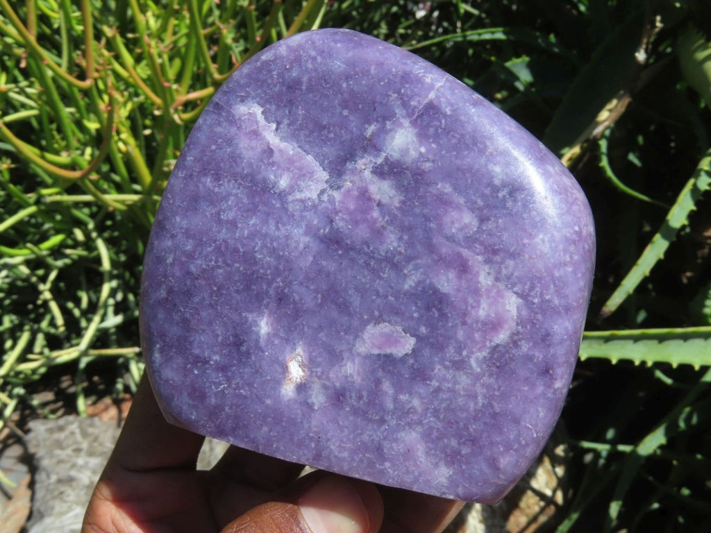 Polished Gem Lithium Mica Lepidolite Display Free Forms x 2 From Zimbabwe - TopRock