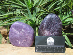 Polished Gem Lithium Mica Lepidolite Display Free Forms x 2 From Zimbabwe - TopRock