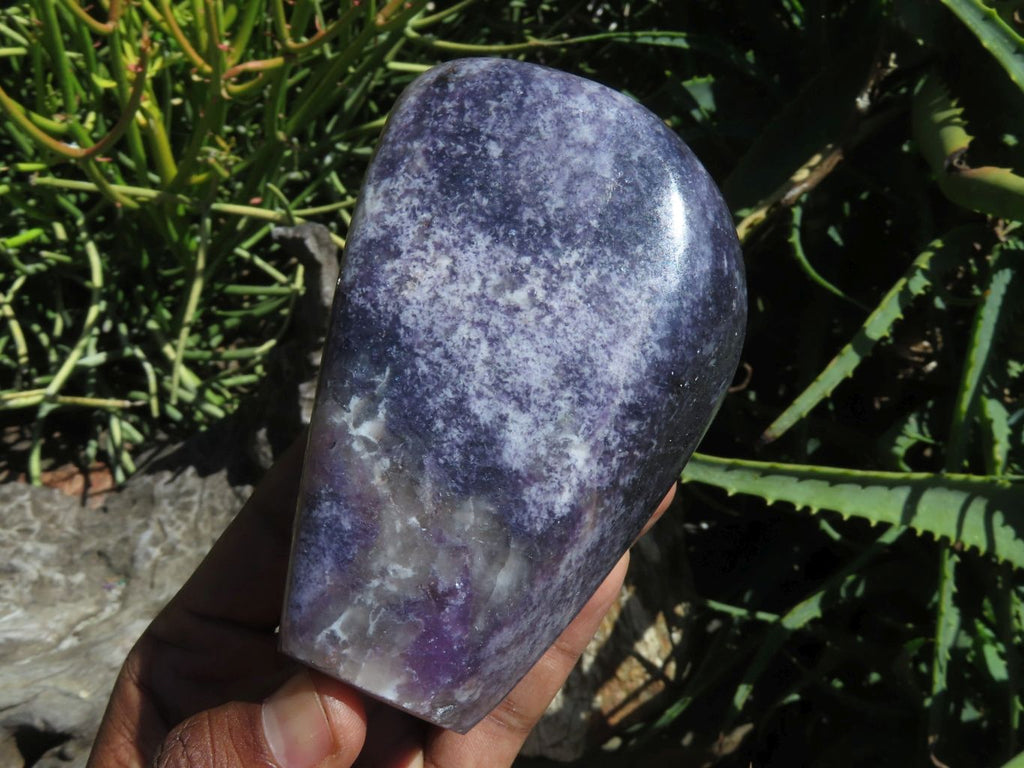 Polished Gem Lithium Mica Lepidolite Display Free Forms x 2 From Zimbabwe - TopRock