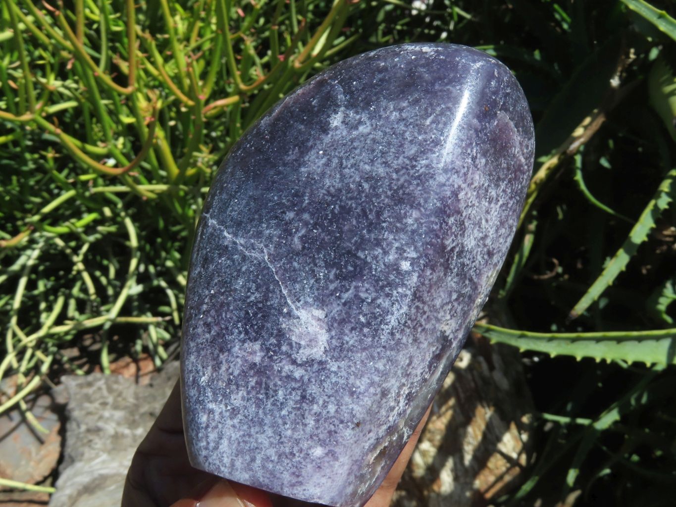 Polished Gem Lithium Mica Lepidolite Display Free Forms x 2 From Zimbabwe - TopRock