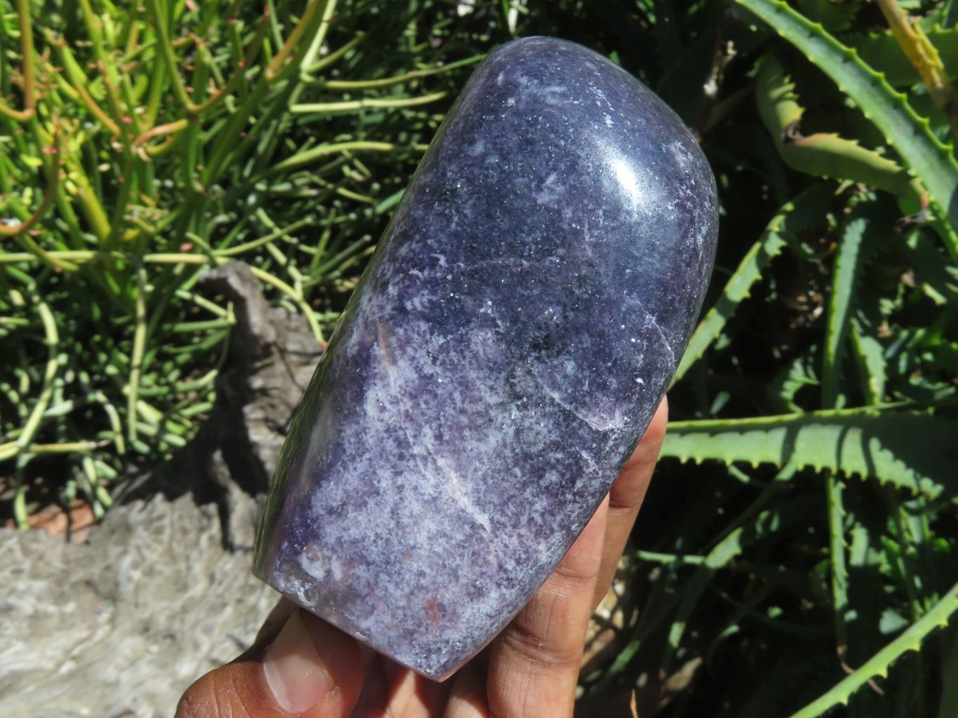 Polished Gem Lithium Mica Lepidolite Display Free Forms x 2 From Zimbabwe - TopRock