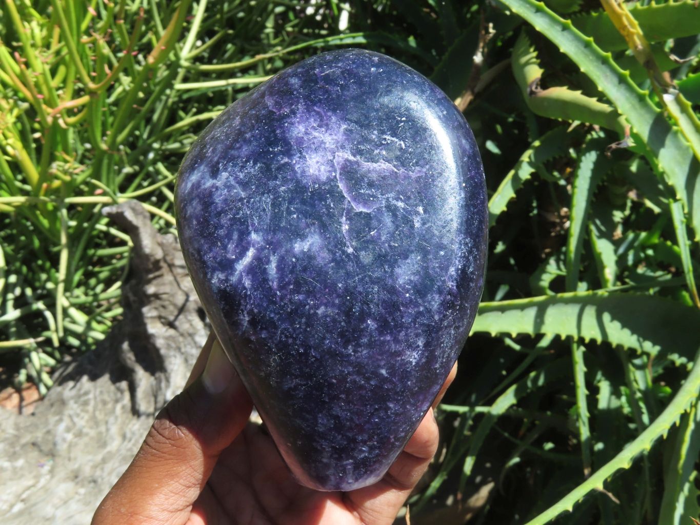 Polished Gem Lithium Mica Lepidolite Display Free Forms x 2 From Zimbabwe - TopRock